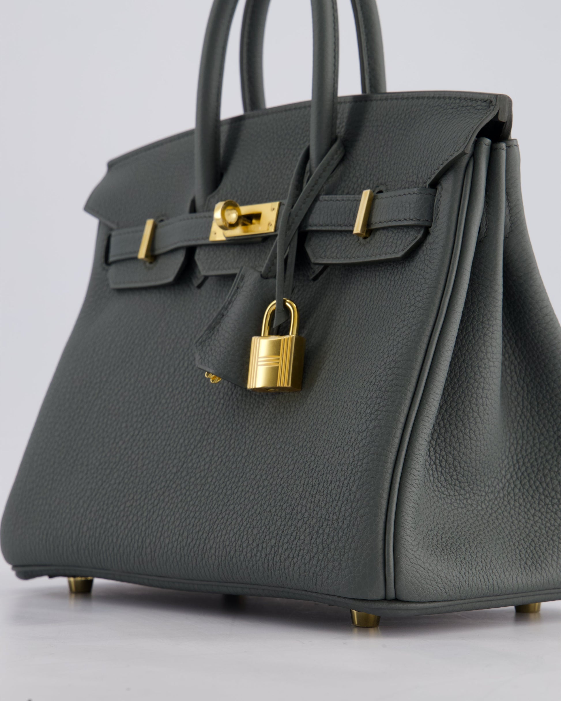 Hermes Birkin 25cm Retourne Bag in Vert Amande Togo Leather with Gold Hardware