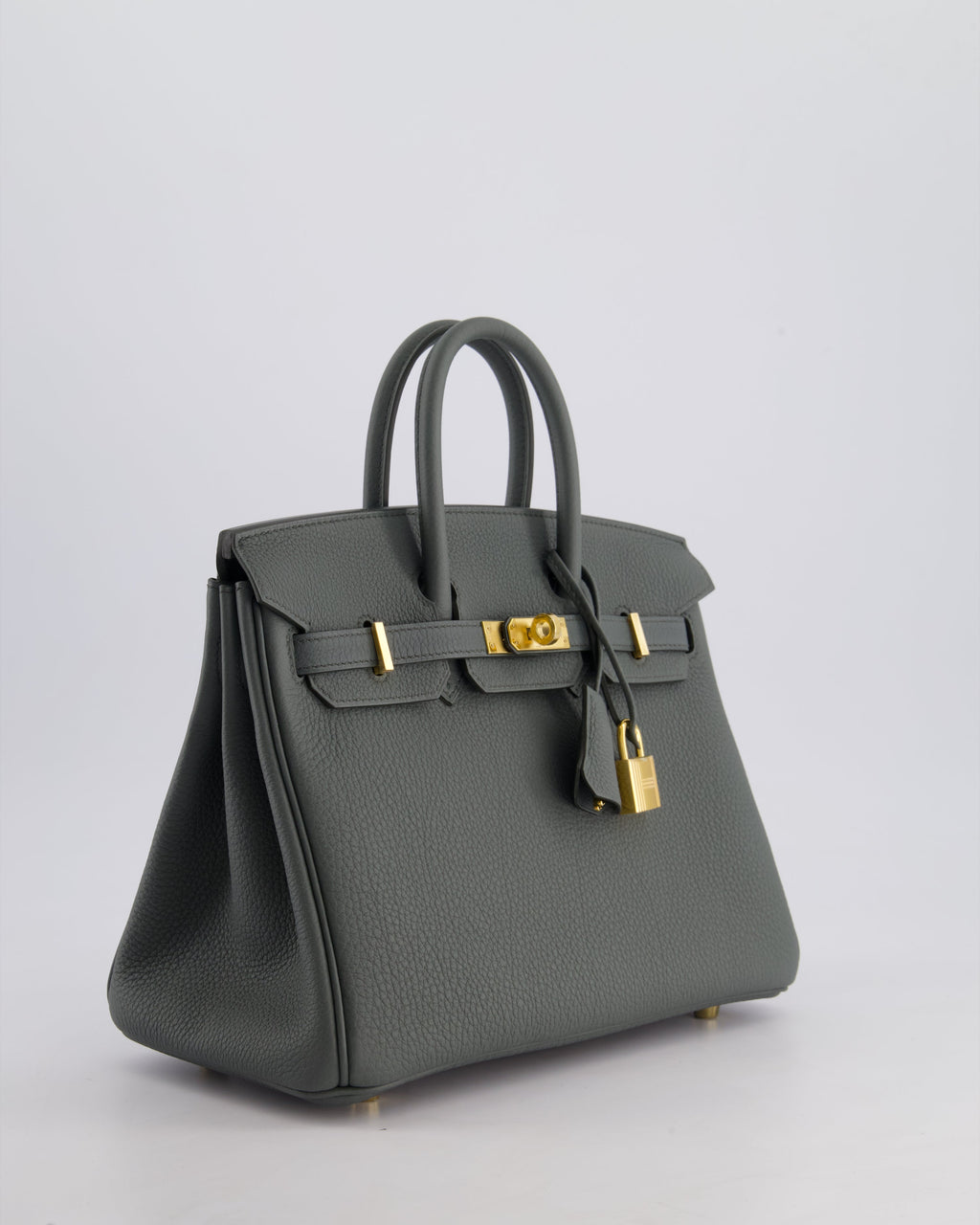 Hermes Birkin 25cm Retourne Bag in Vert Amande Togo Leather with Gold Hardware