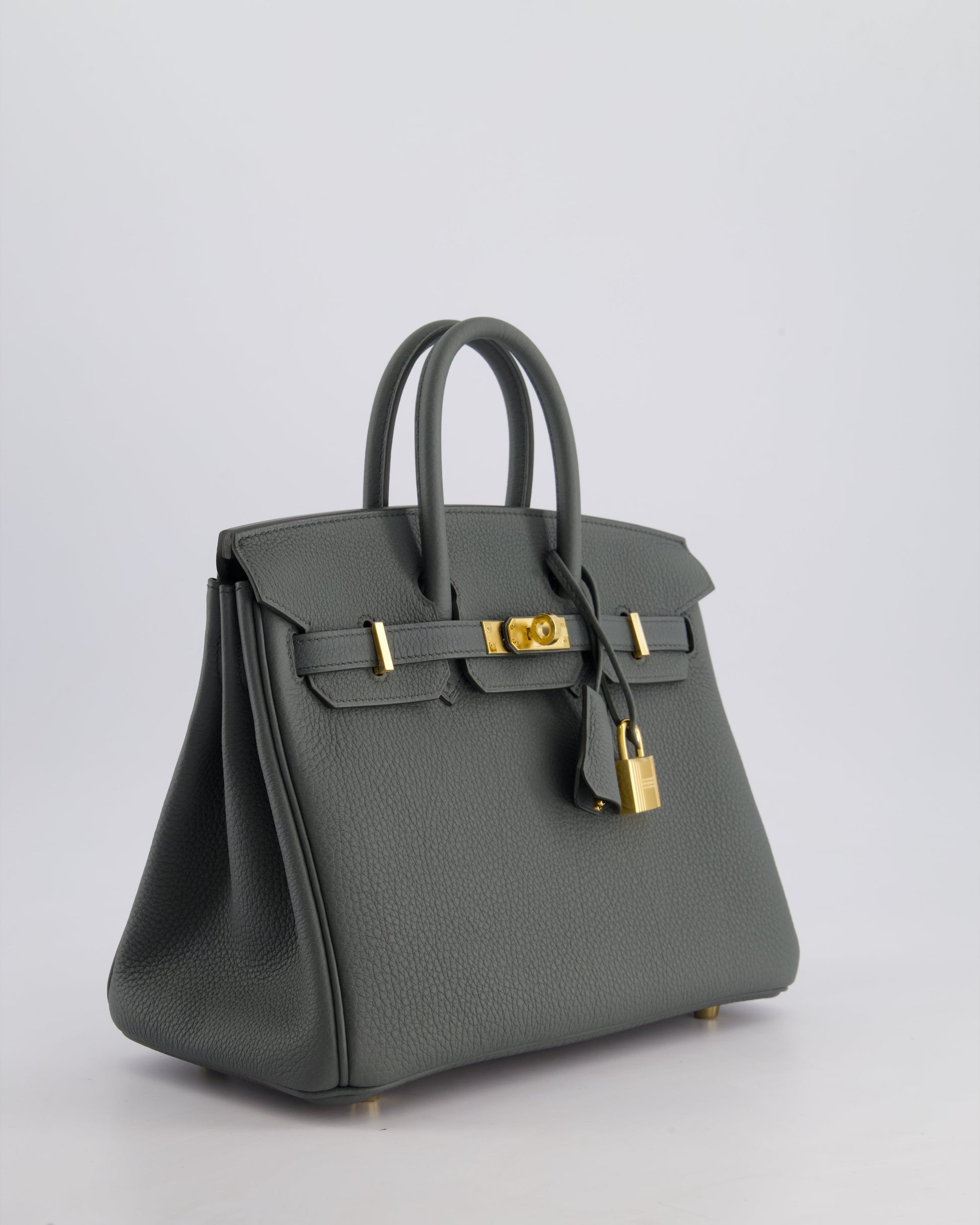 Hermes Birkin 25cm Retourne Bag in Vert Amande Togo Leather with Gold Hardware
