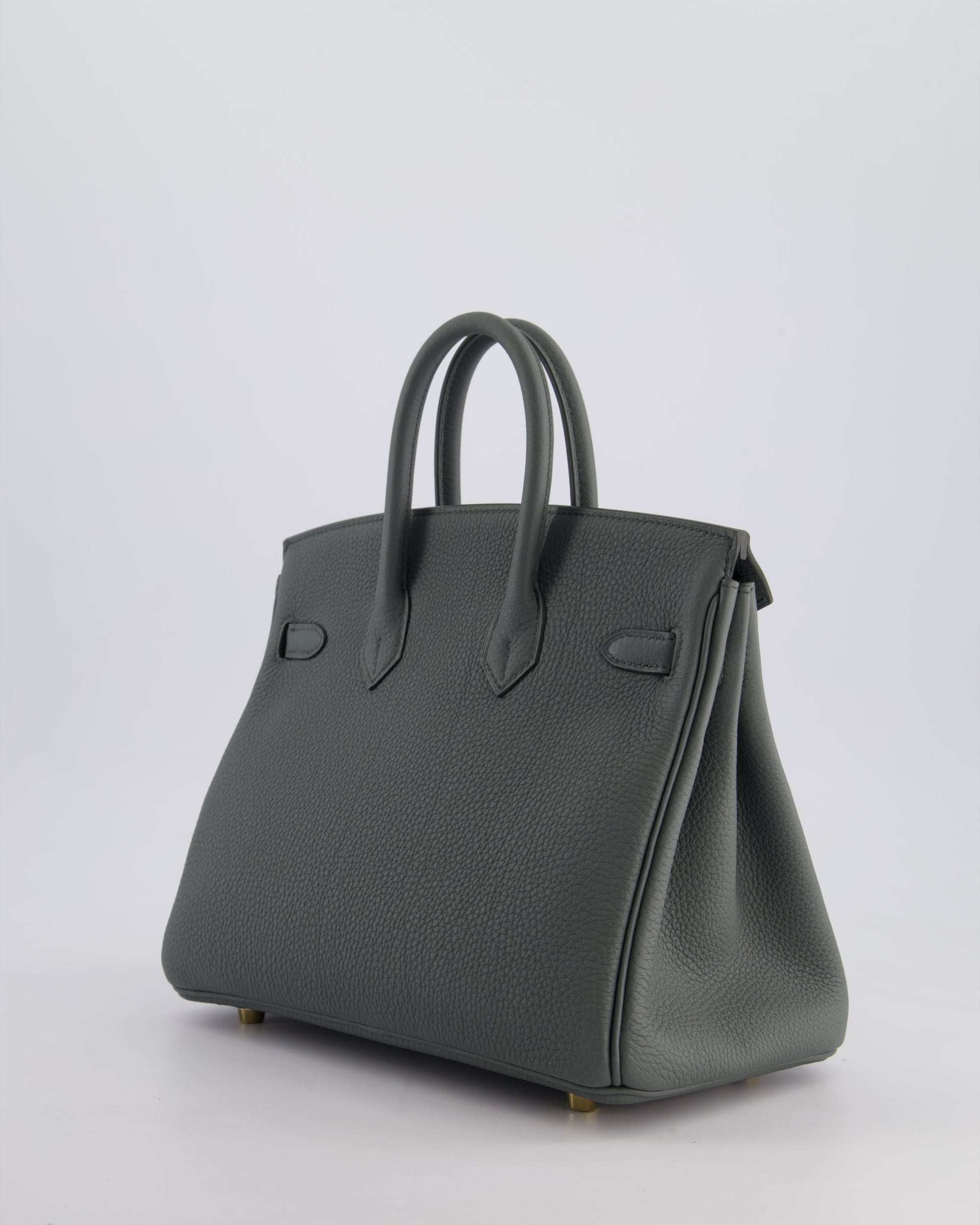 Hermes Birkin 25cm Retourne Bag in Vert Amande Togo Leather with Gold Hardware