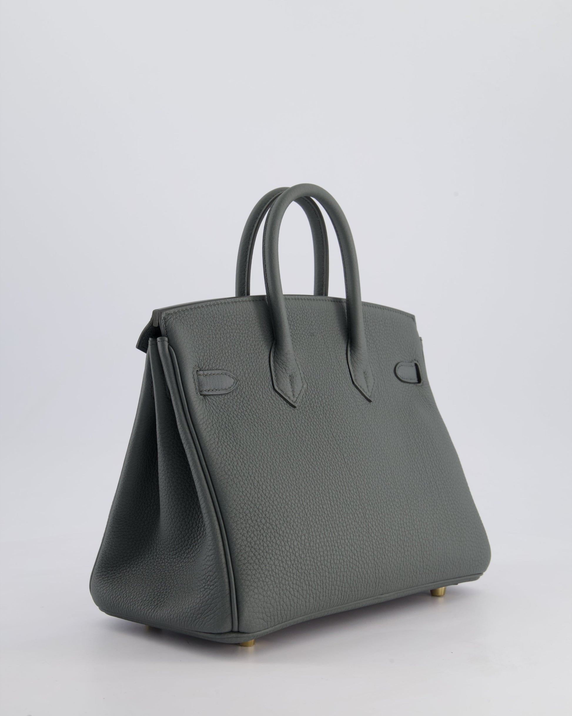 Hermes Birkin 25cm Retourne Bag in Vert Amande Togo Leather with Gold Hardware