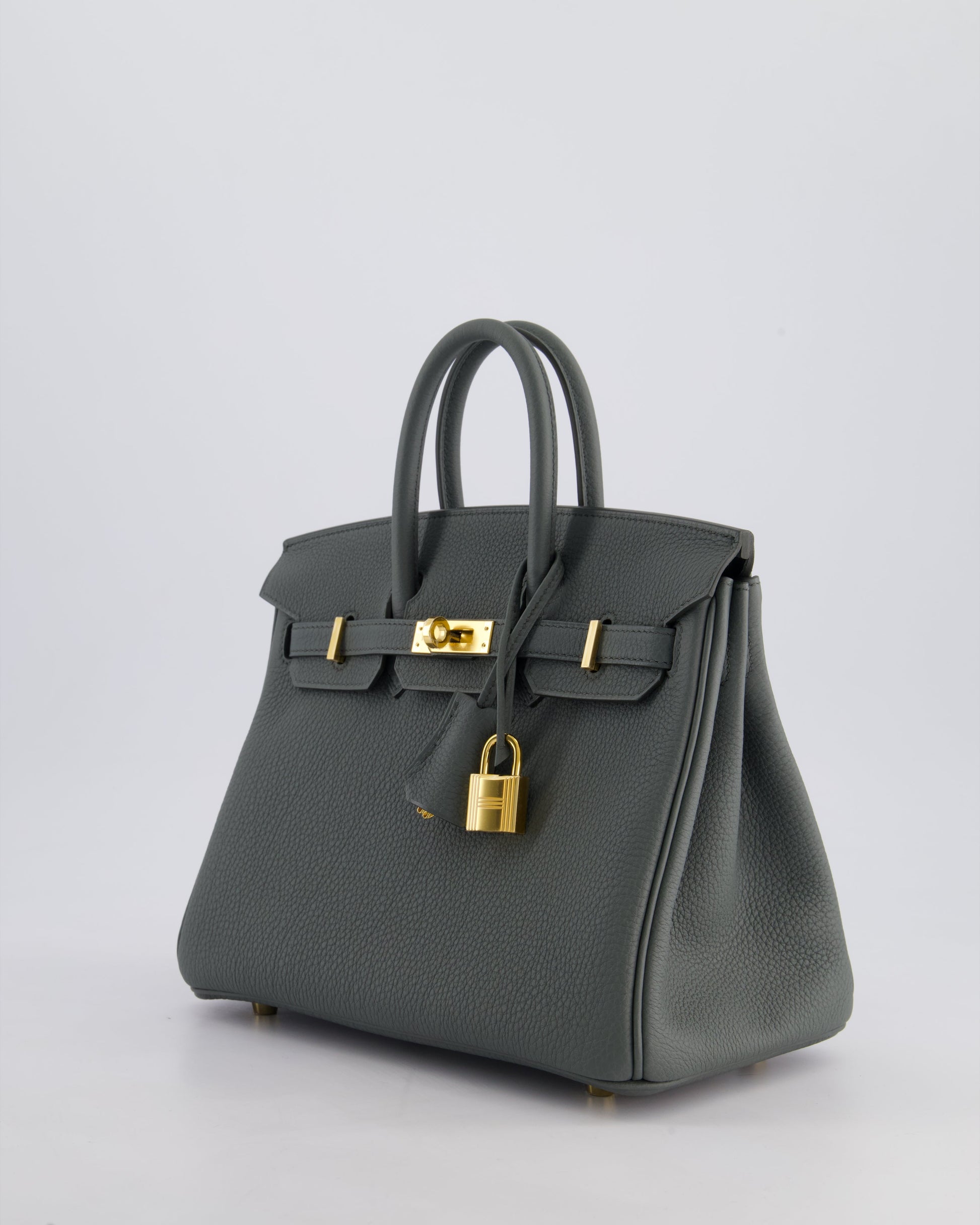 Hermes Birkin 25cm Retourne Bag in Vert Amande Togo Leather with Gold Hardware