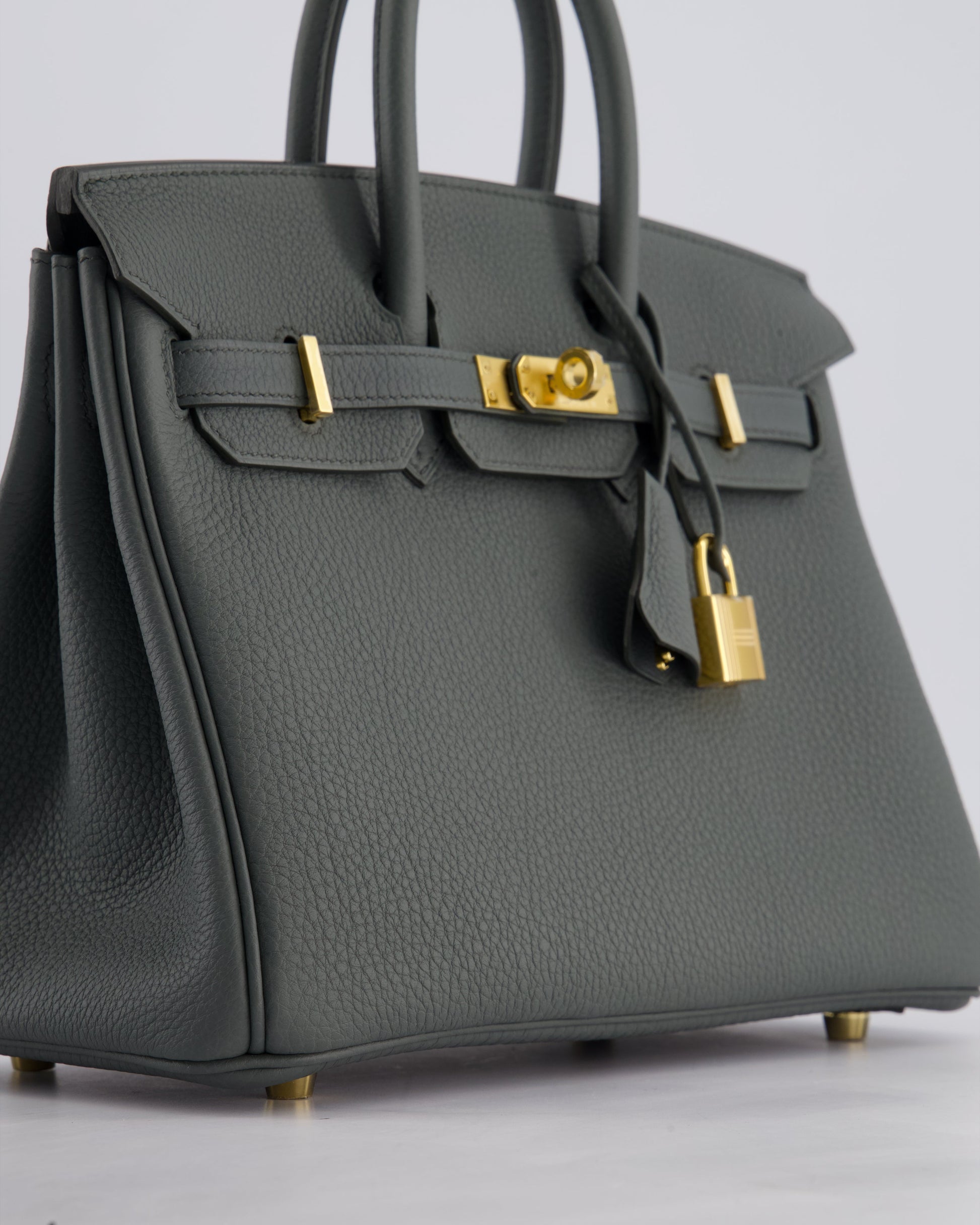 Hermes Birkin 25cm Retourne Bag in Vert Amande Togo Leather with Gold Hardware