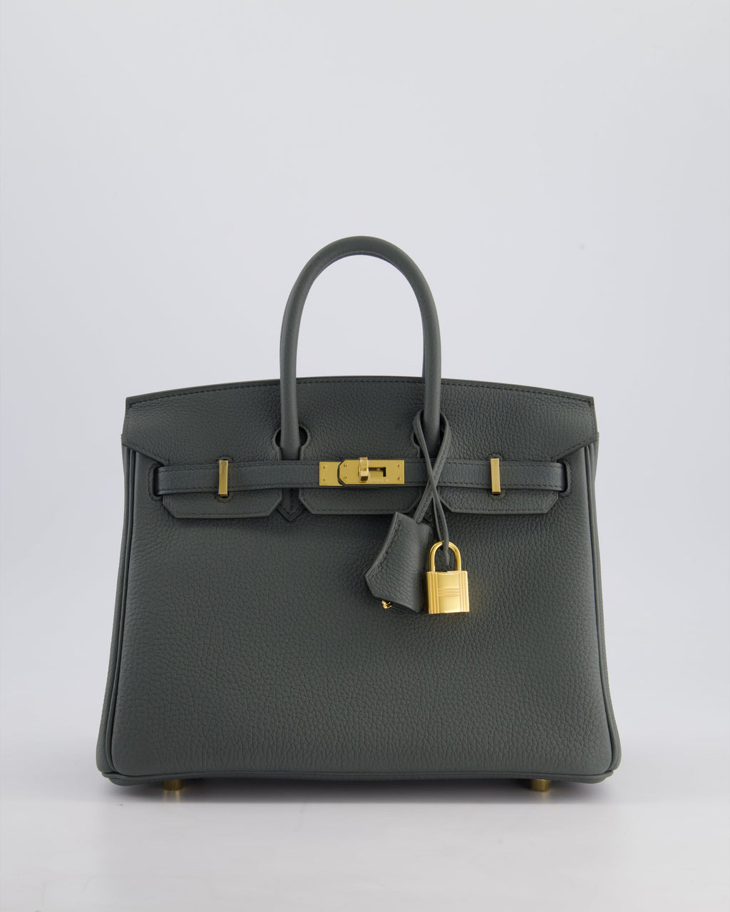 Hermes Birkin 25cm Retourne Bag in Vert Amande Togo Leather with Gold Hardware
