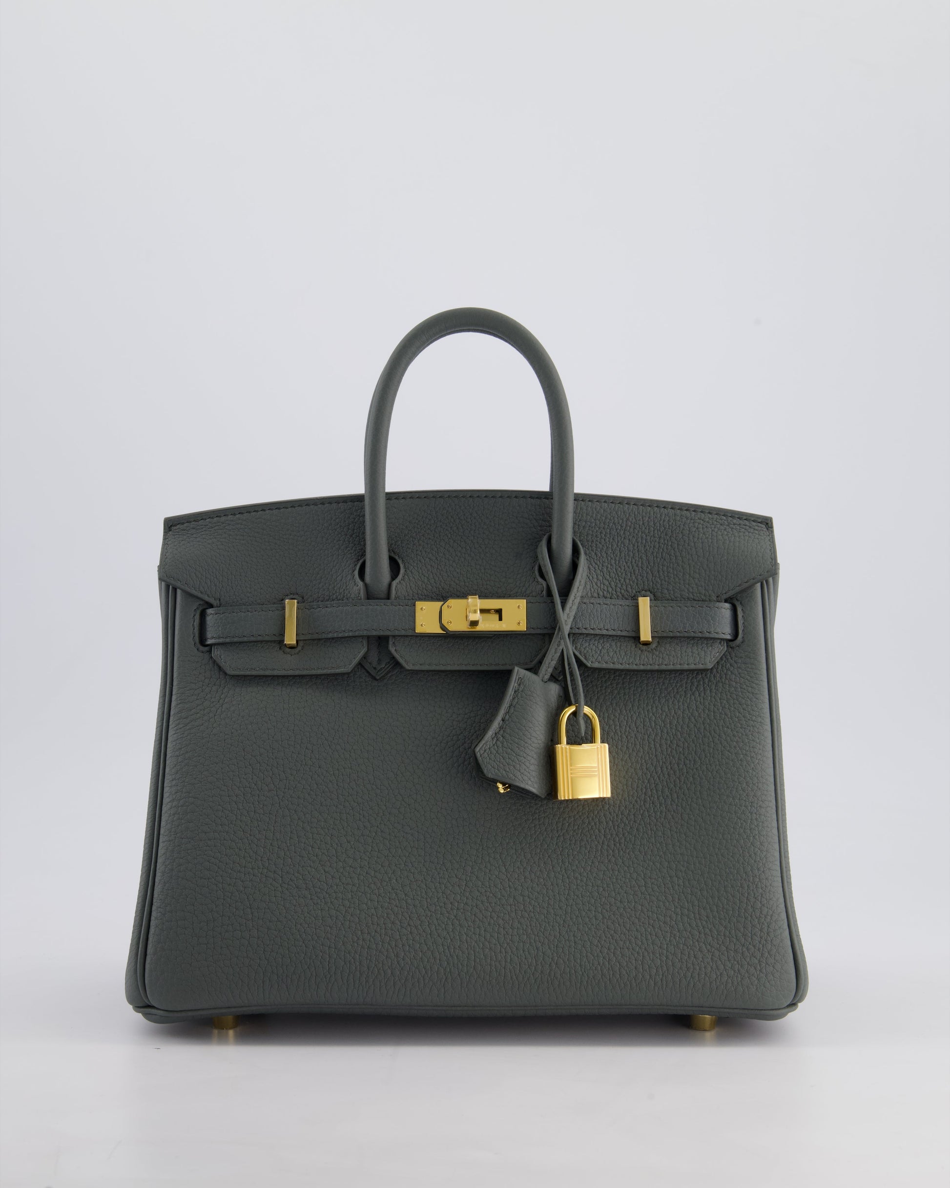 Hermes Birkin 25cm Retourne Bag in Vert Amande Togo Leather with Gold Hardware